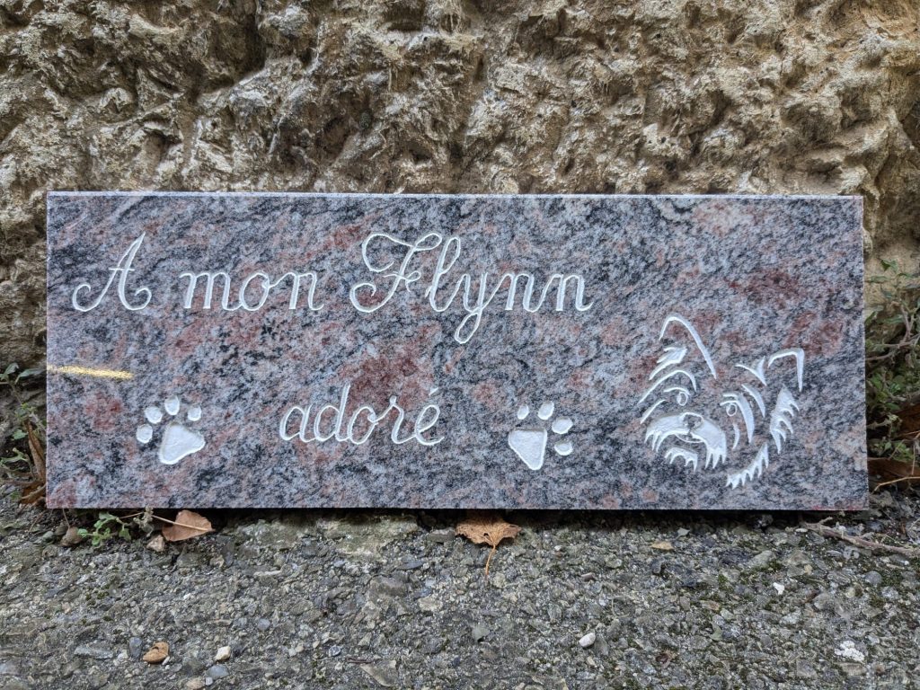 5-1024x768 Réalisations